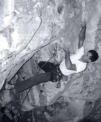 Dino Kur�� sk��a projekt na Priedhor�.