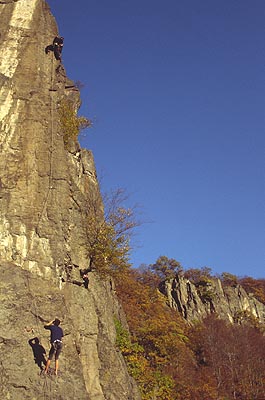 Lafi Fides, Enova hrana, 8, Hr�dok.