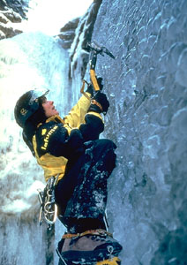 62001po2.jpg (32787 bytes)