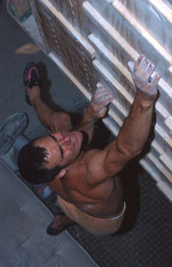 62001tre.jpg (22220 bytes)