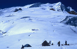 62001vr4.jpg (22195 bytes)