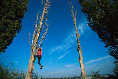 62002hu2.jpg (57790 bytes)