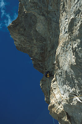 Dodo v poslednej silne previsnutej d�ke. 