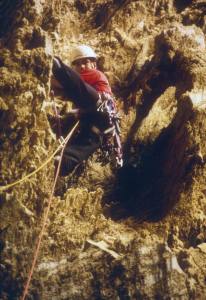 12000sl2.jpg (16163 bytes)