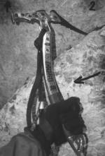 12000t02.jpg (6360 bytes)