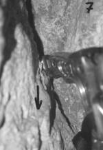 12000t07.jpg (5686 bytes)