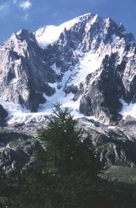 12001jo1.jpg (13330 bytes)