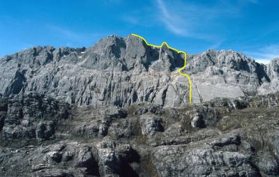 12001pu1.jpg (22412 bytes)