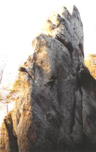 12001s08.jpg (9517 bytes)