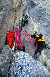 12002b02.jpg (31505 bytes)