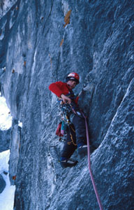 12002ko2.jpg (30829 bytes)