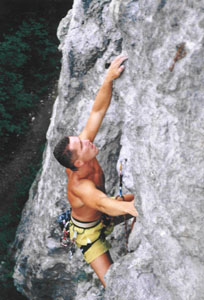 12002sl1.jpg (29186 bytes)