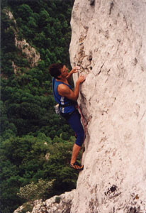 12002sl8.jpg (29930 bytes)