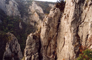 12002sl9.jpg (32299 bytes)