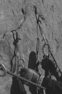 22000bw2.jpg (8183 bytes)