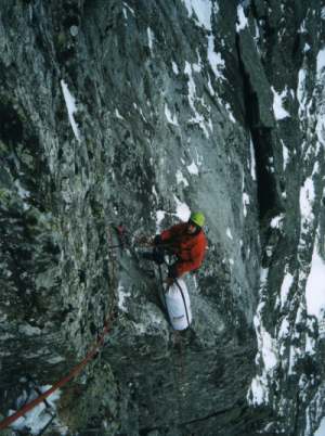 22000ja1.jpg (23227 bytes)