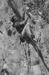 22000pa1.jpg (13715 bytes)