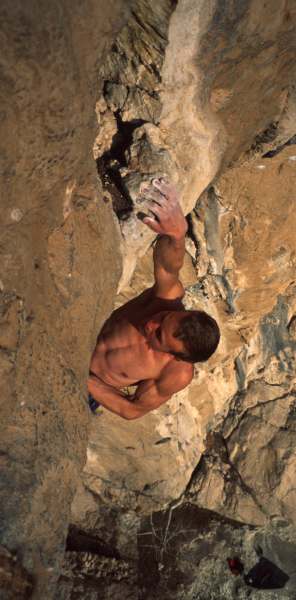 22000ra1.jpg (26807 bytes)