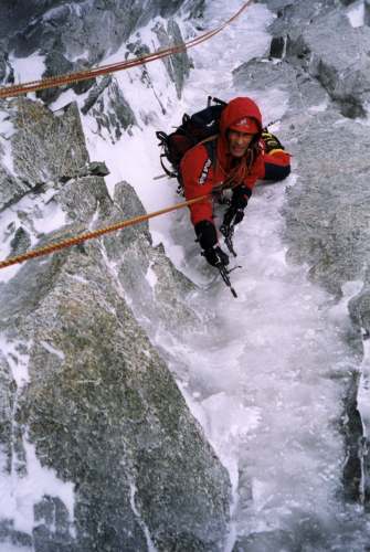 22000zi1.jpg (29734 bytes)