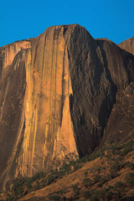 22001ma5.jpg (27282 bytes)