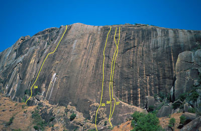 22001ms2.jpg (43039 bytes)