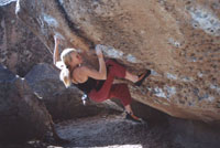 22001pa1.jpg (16221 bytes)