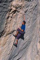 22001pa3.jpg (20165 bytes)