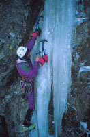 22001pa5.jpg (17675 bytes)