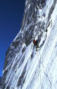 22001sh5.jpg (29359 bytes)