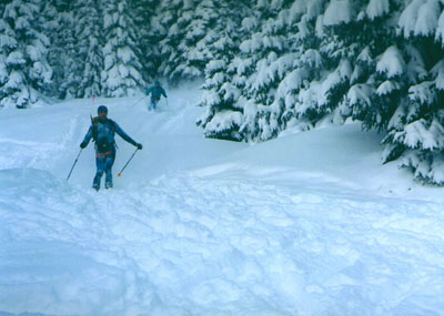 22001ski.jpg (38869 bytes)