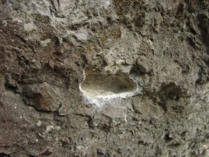 Zlo�in v S��ove