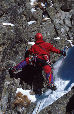 Igor Koller, Sso�o