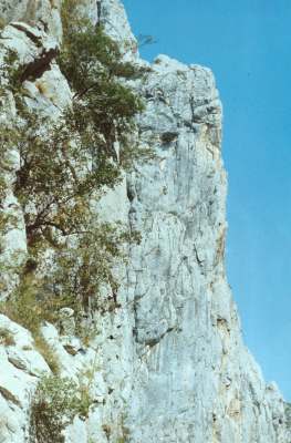 32000pak.jpg (20237 bytes)