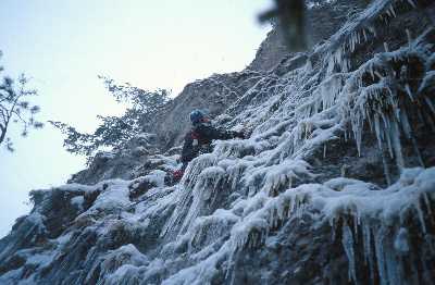 32000se3.jpg (17903 bytes)