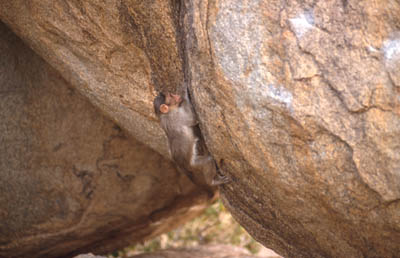 32001m08.jpg (30507 bytes)