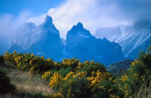 32001pt2.jpg (10515 bytes)