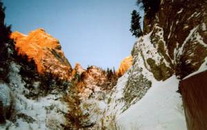 32001ru4.jpg (12554 bytes)