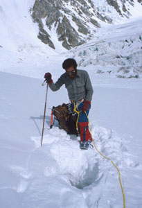 32002na3.jpg (22853 bytes)