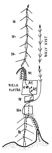 �av� hrana Bieleho kvetu