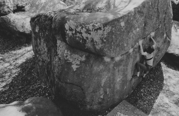 42000fo3.jpg (50544 bytes)