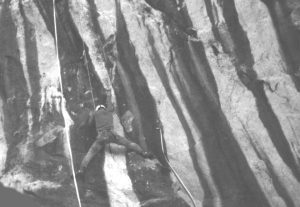 42000pa1.jpg (13282 bytes)