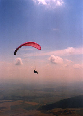 42001cp1.jpg (19360 bytes)