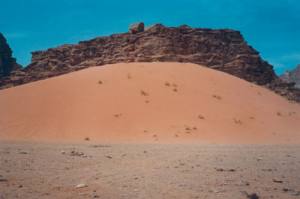 42001jo3.jpg (7052 bytes)