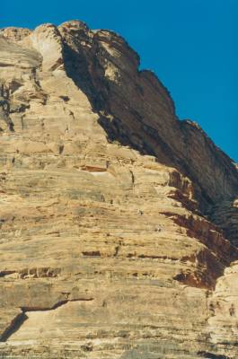 42001jo6.jpg (20259 bytes)