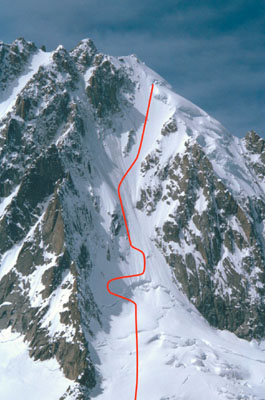 42001ku1.jpg (43032 bytes)