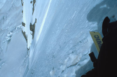 42001ku2.jpg (24719 bytes)