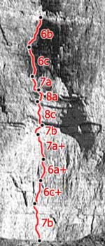 42001pl2.jpg (16498 bytes)