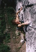 42001pl7.jpg (7290 bytes)