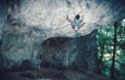 42001se1.jpg (17451 bytes)