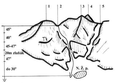 42001zi2.jpg (28029 bytes)